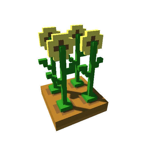Crop - Sunflower 4
